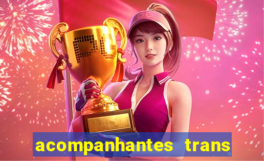 acompanhantes trans baixada fluminense